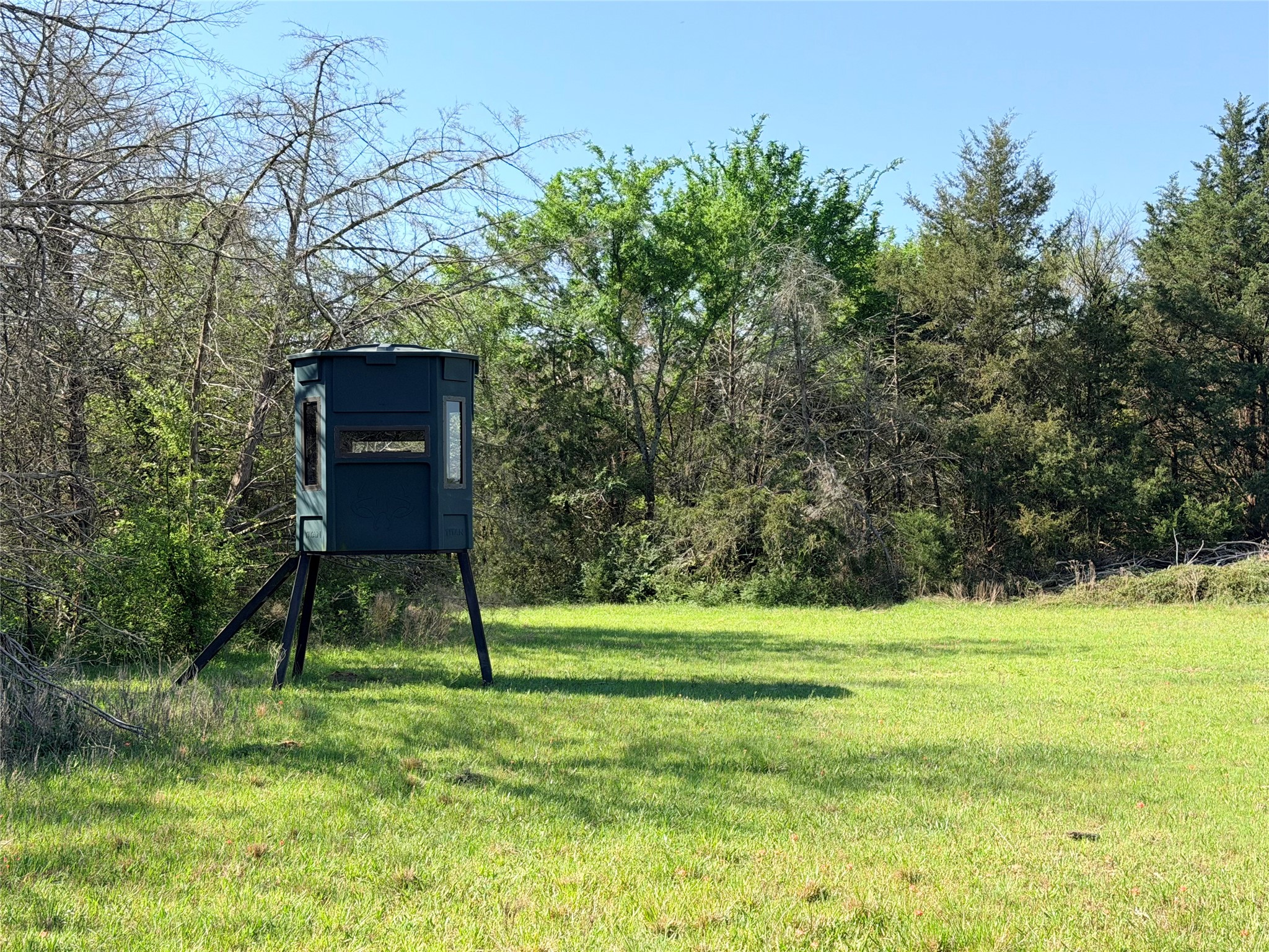 Tbd 213.5 Acs Fcr 984 Mexia TX 76667