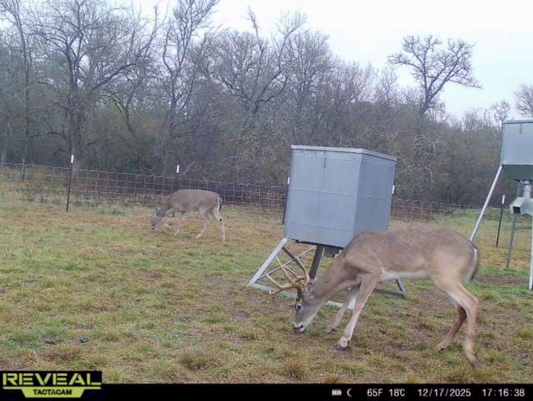 Tbd 213.5 Acs Fcr 984 Mexia TX 76667