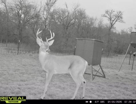 Tbd 213.5 Acs Fcr 984 Mexia TX 76667