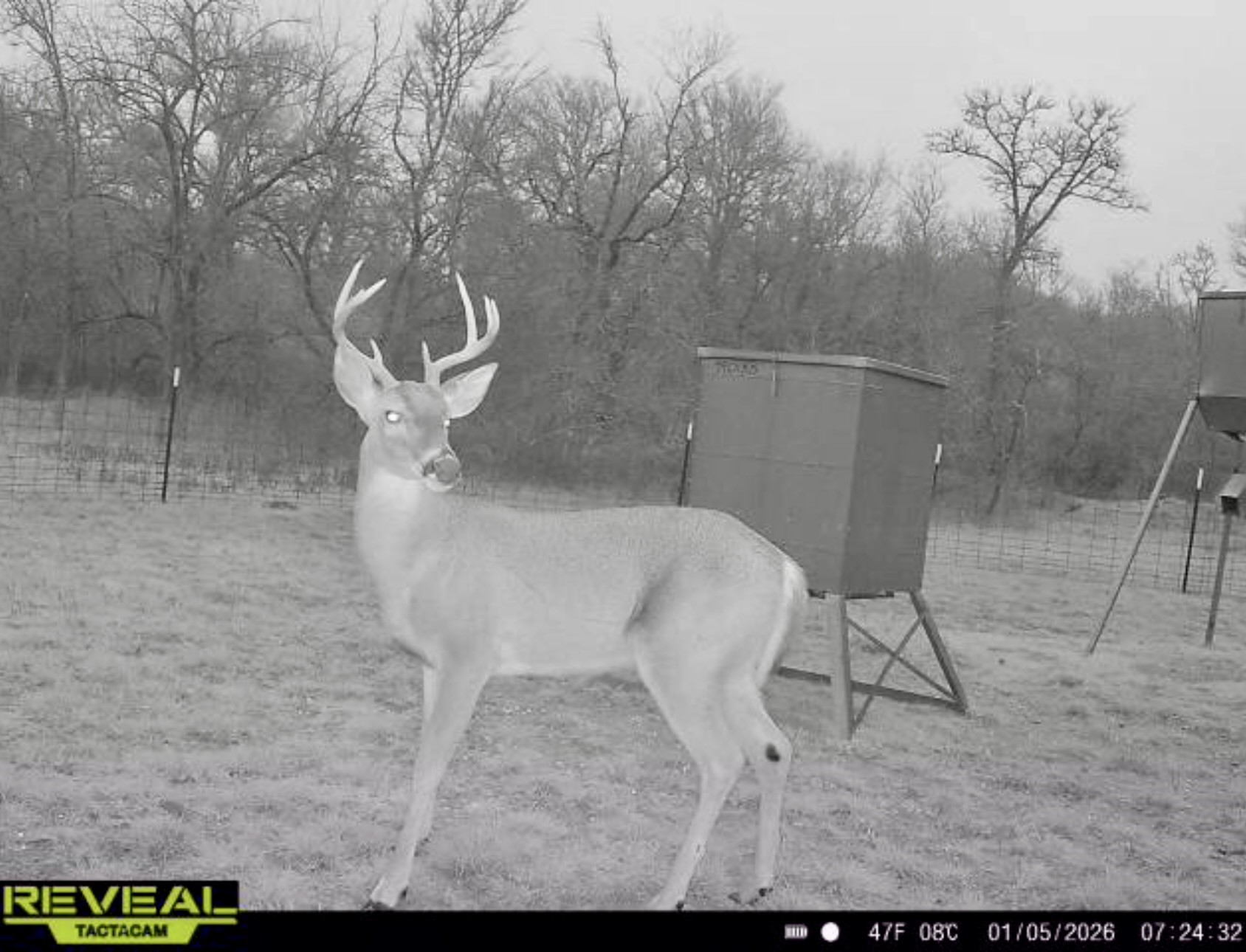 Tbd 213.5 Acs Fcr 984 Mexia TX 76667