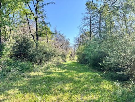 Tbd 213.5 Acs Fcr 984 Mexia TX 76667