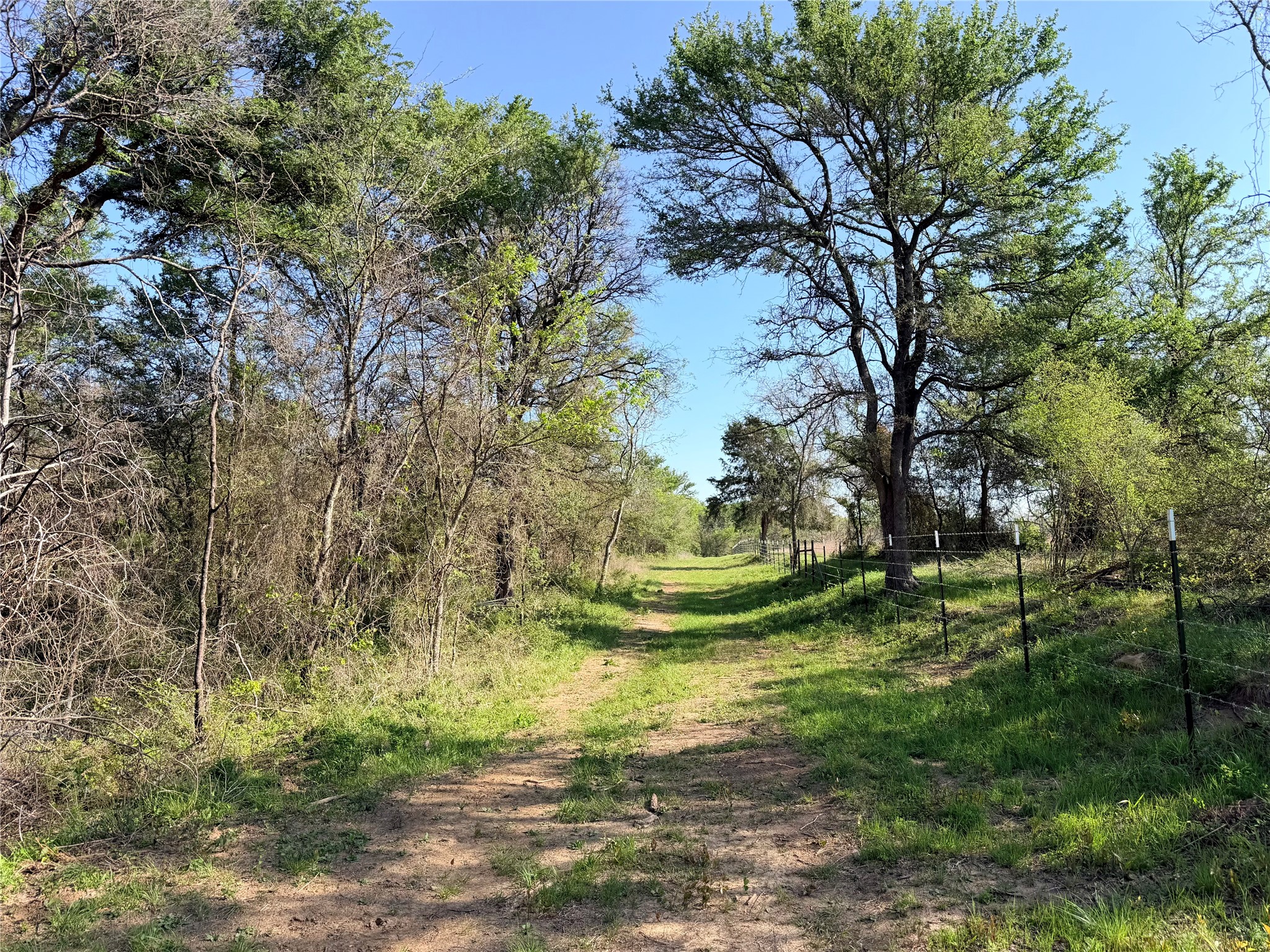 Tbd 213.5 Acs Fcr 984 Mexia TX 76667