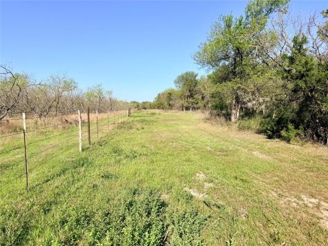 Tbd 213.5 Acs Fcr 984 Mexia TX 76667