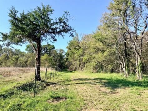 Tbd 213.5 Acs Fcr 984 Mexia TX 76667