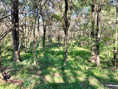Tbd 213.5 Acs Fcr 984 Mexia TX 76667