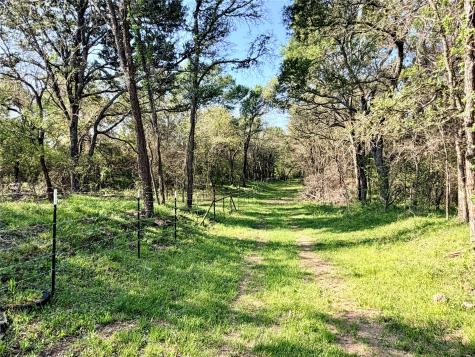 Tbd 213.5 Acs Fcr 984 Mexia TX 76667
