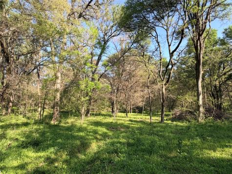 Tbd 213.5 Acs Fcr 984 Mexia TX 76667