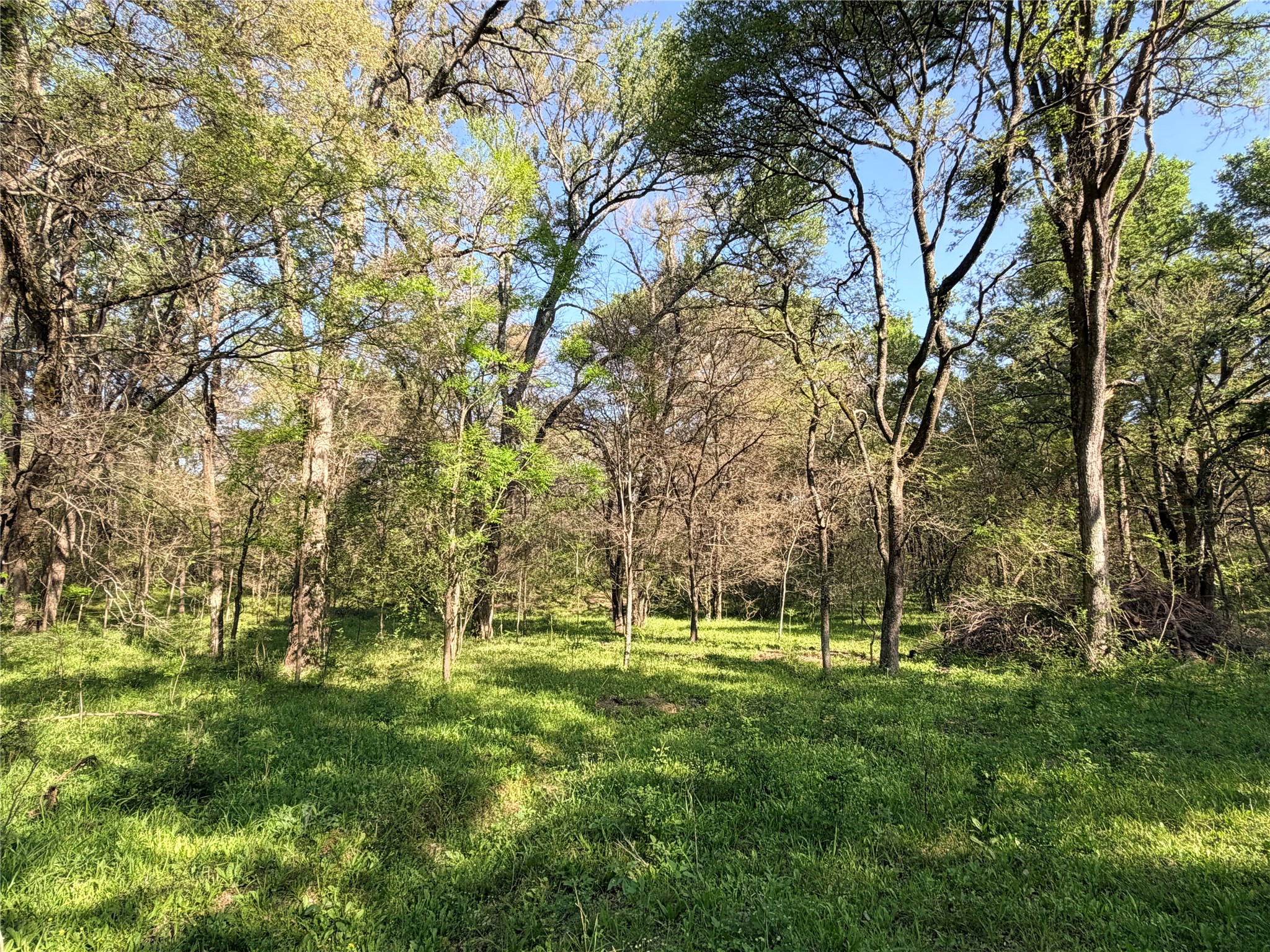 Tbd 213.5 Acs Fcr 984 Mexia TX 76667
