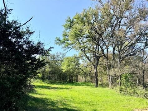 Tbd 213.5 Acs Fcr 984 Mexia TX 76667