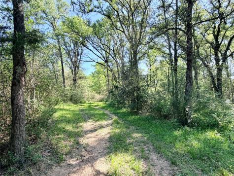 Tbd 213.5 Acs Fcr 984 Mexia TX 76667