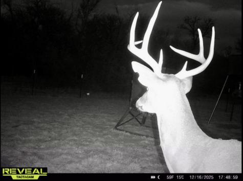 Tbd 213.5 Acs Fcr 984 Mexia TX 76667