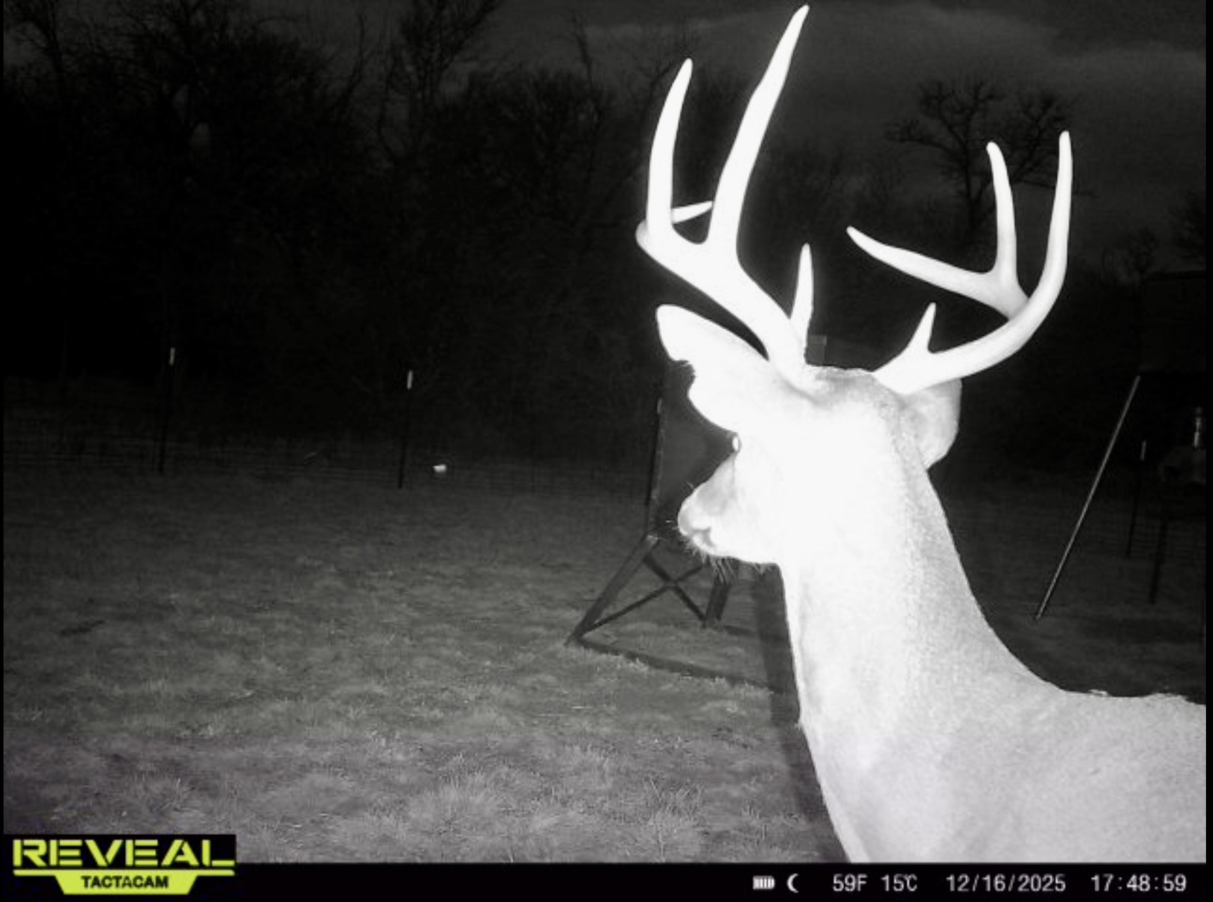 Tbd 213.5 Acs Fcr 984 Mexia TX 76667