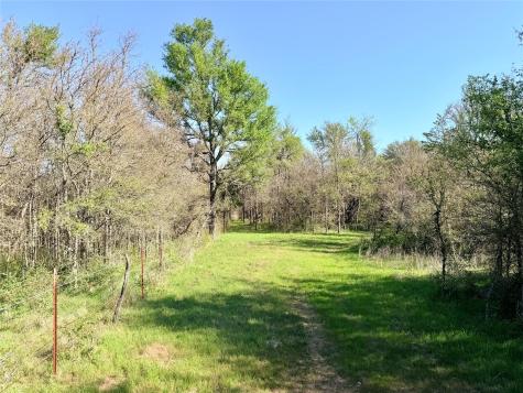 Tbd 213.5 Acs Fcr 984 Mexia TX 76667
