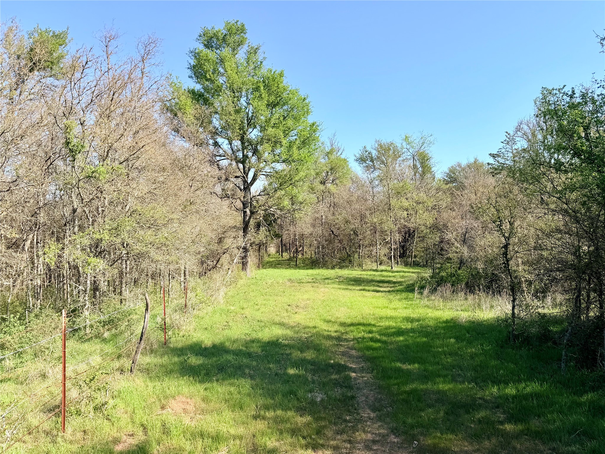 Tbd 213.5 Acs Fcr 984 Mexia TX 76667