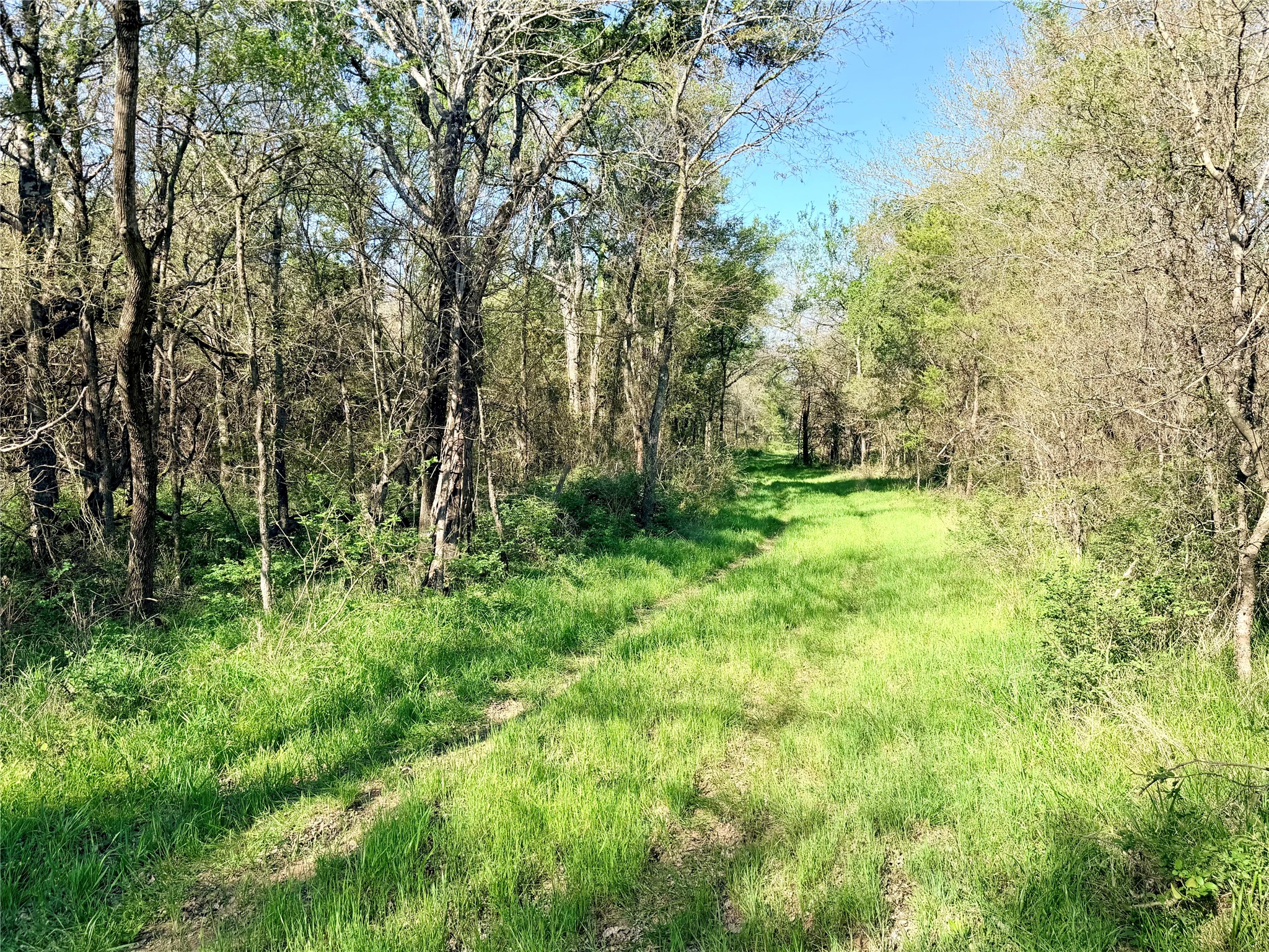 Tbd 213.5 Acs Fcr 984 Mexia TX 76667