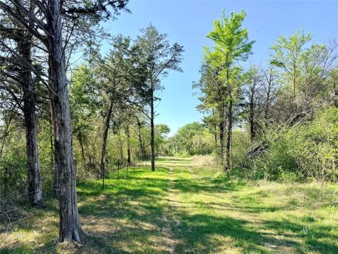Tbd 213.5 Acs Fcr 984 Mexia TX 76667