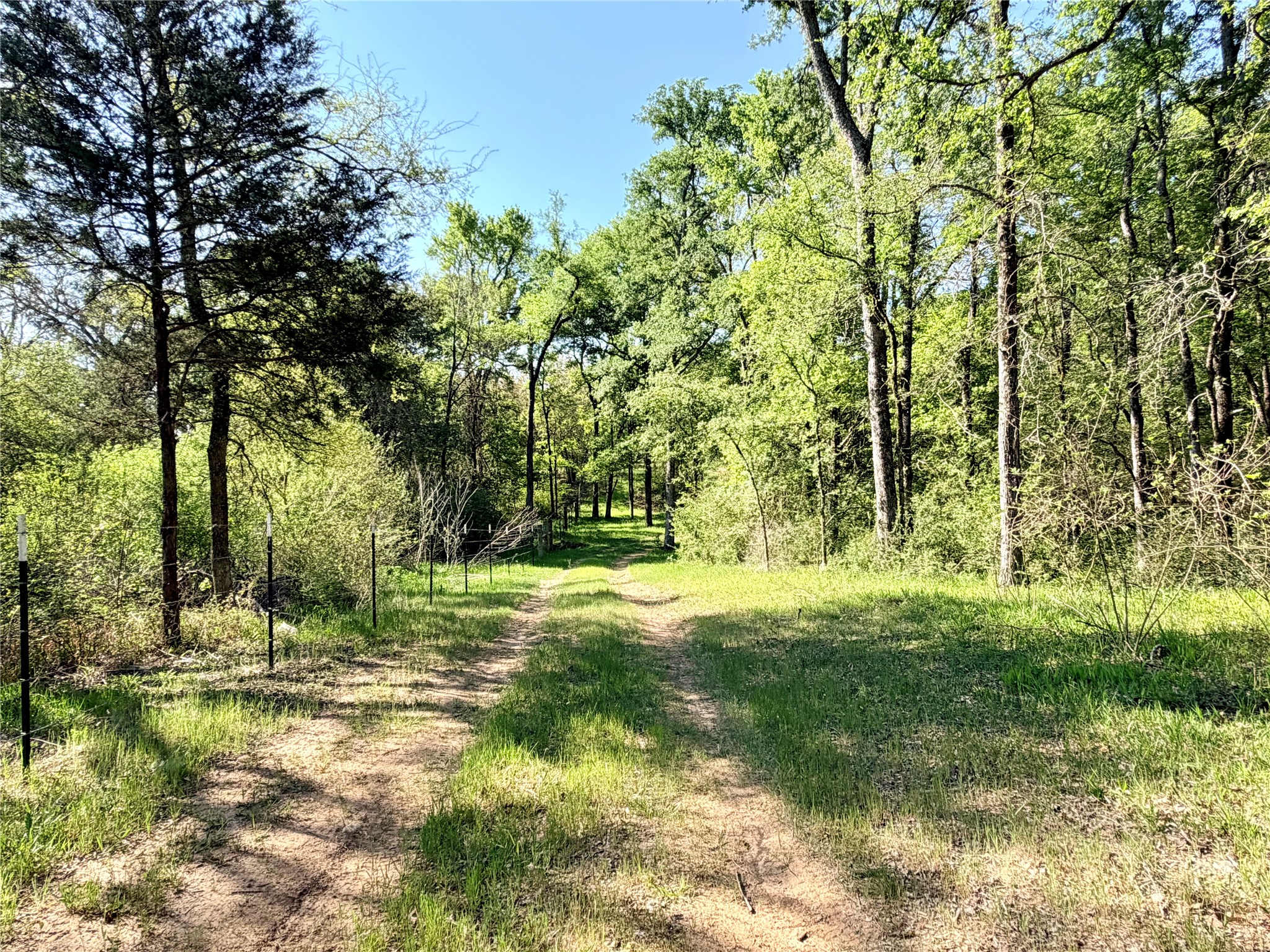 Tbd 213.5 Acs Fcr 984 Mexia TX 76667
