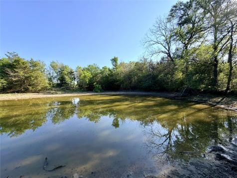 Tbd 213.5 Acs Fcr 984 Mexia TX 76667
