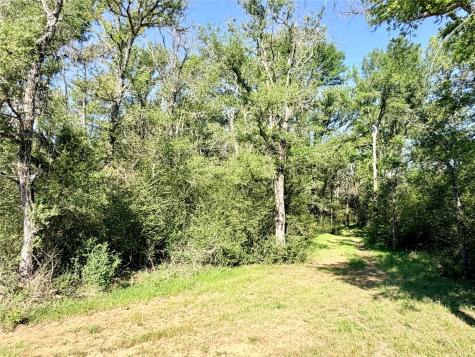 Tbd 213.5 Acs Fcr 984 Mexia TX 76667