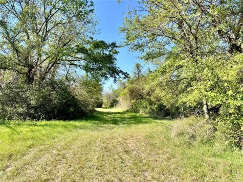 Tbd 213.5 Acs Fcr 984 Mexia TX 76667