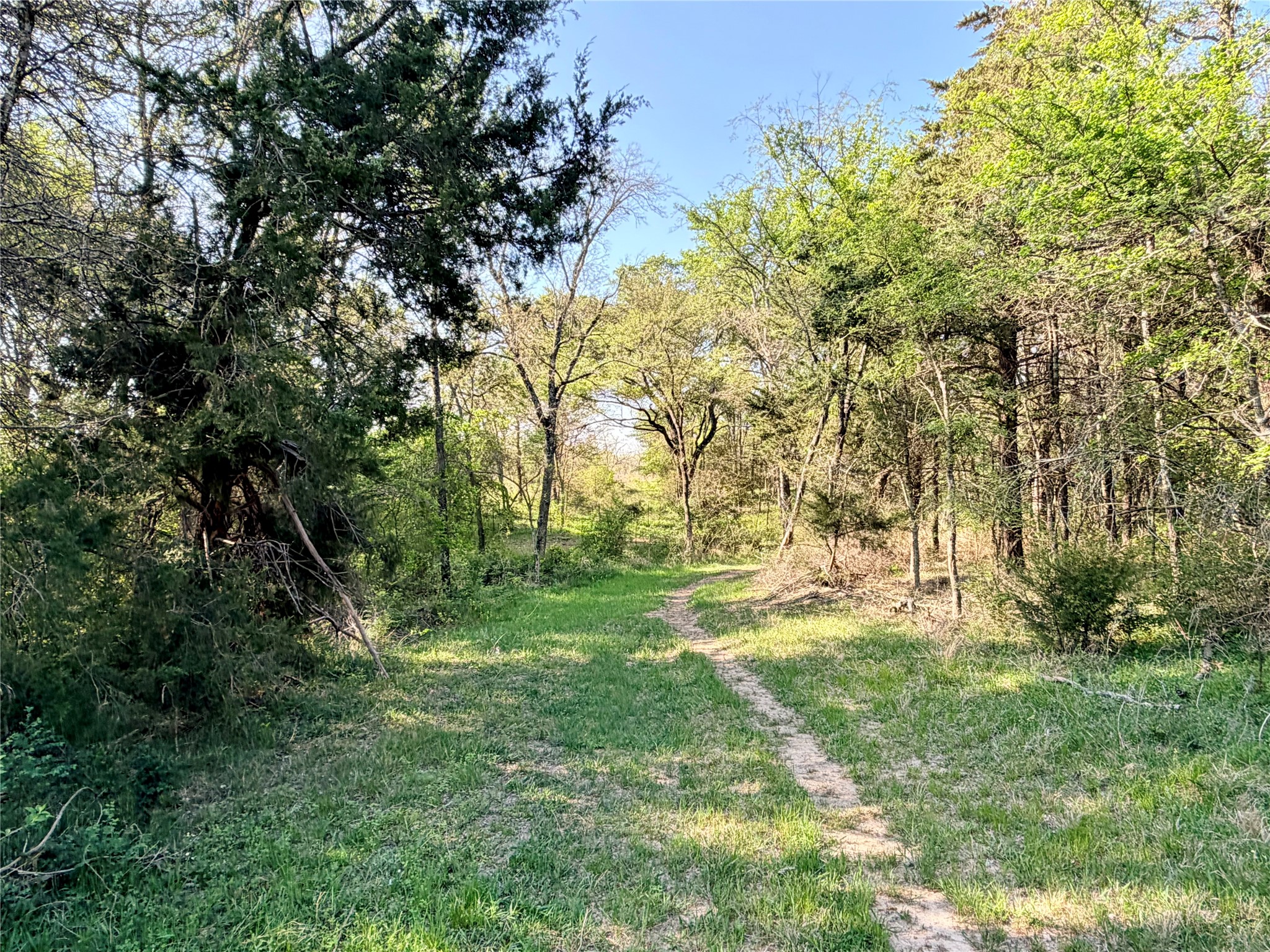 Tbd 213.5 Acs Fcr 984 Mexia TX 76667
