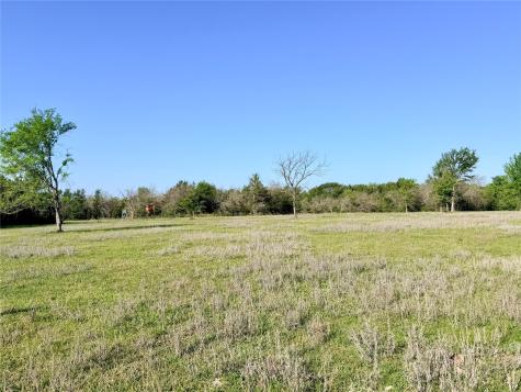 Tbd 213.5 Acs Fcr 984 Mexia TX 76667