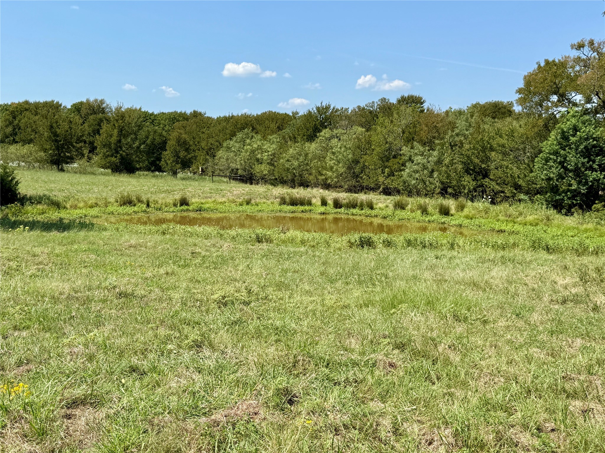 15125 County Road 2350 Streetman TX 75859