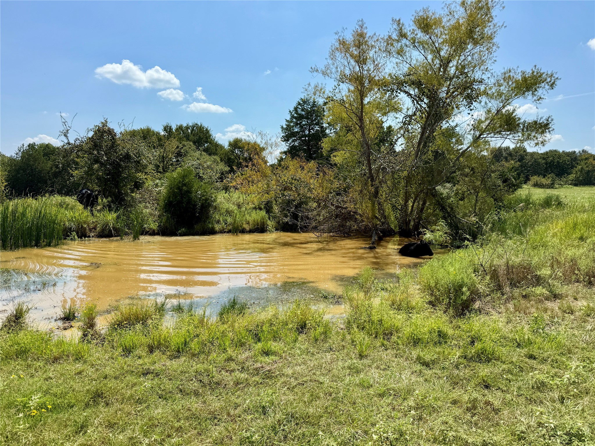 15125 County Road 2350 Streetman TX 75859