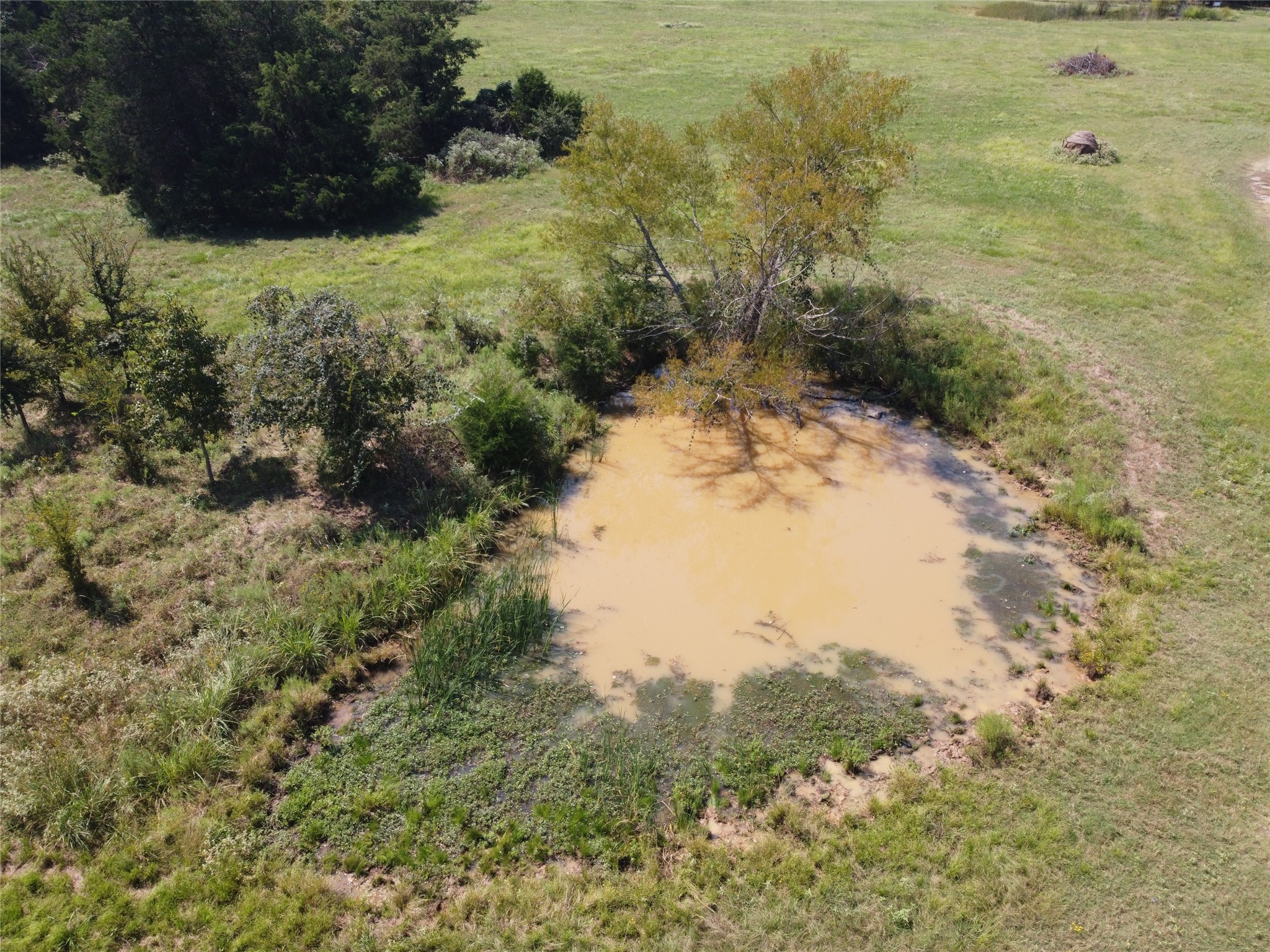 15125 County Road 2350 Streetman TX 75859