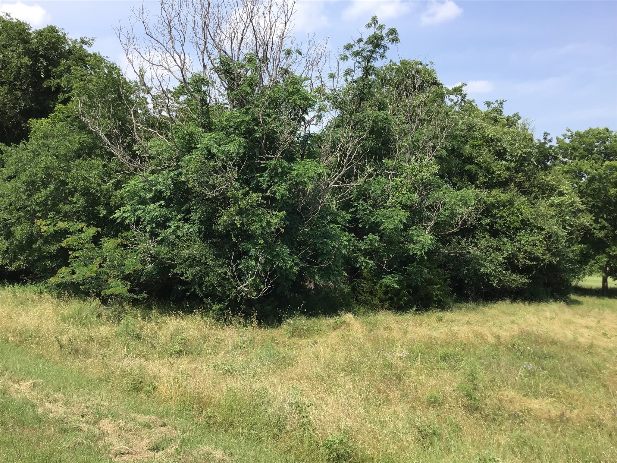 42086 Crooked Stick Drive Whitney TX 76692