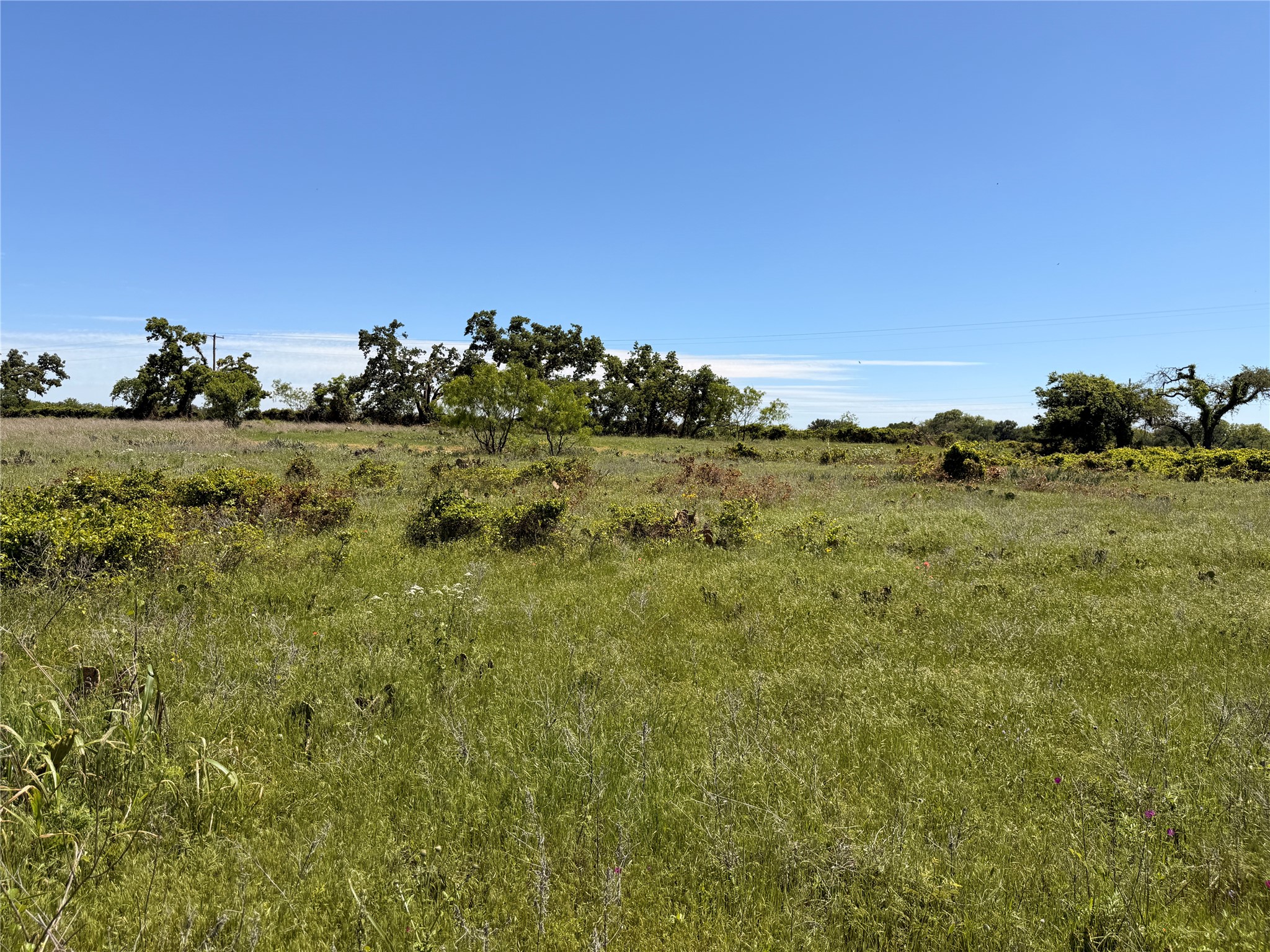 Tbd S I-20 Access Road Eastland TX 76448