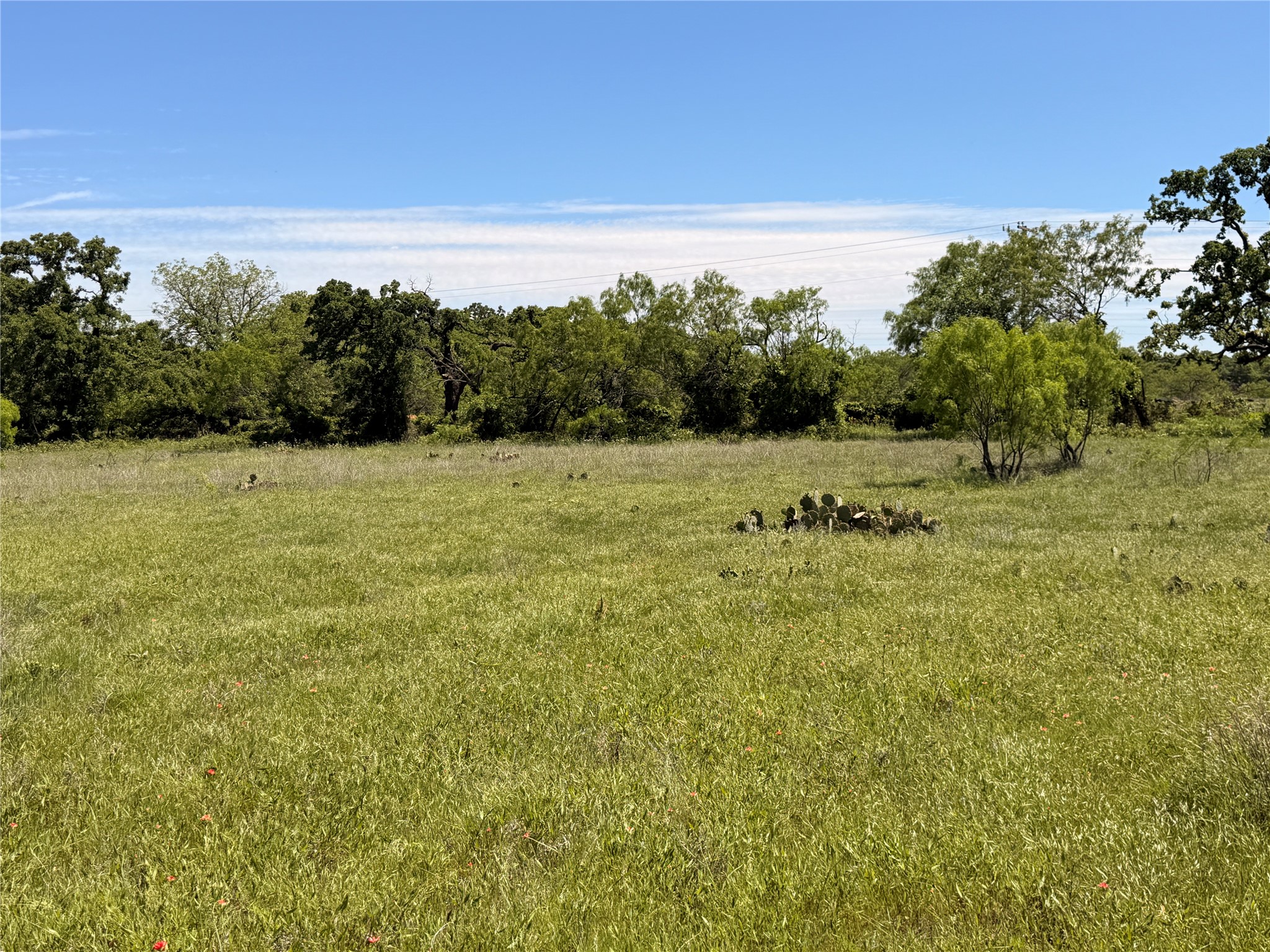 Tbd S I-20 Access Road Eastland TX 76448