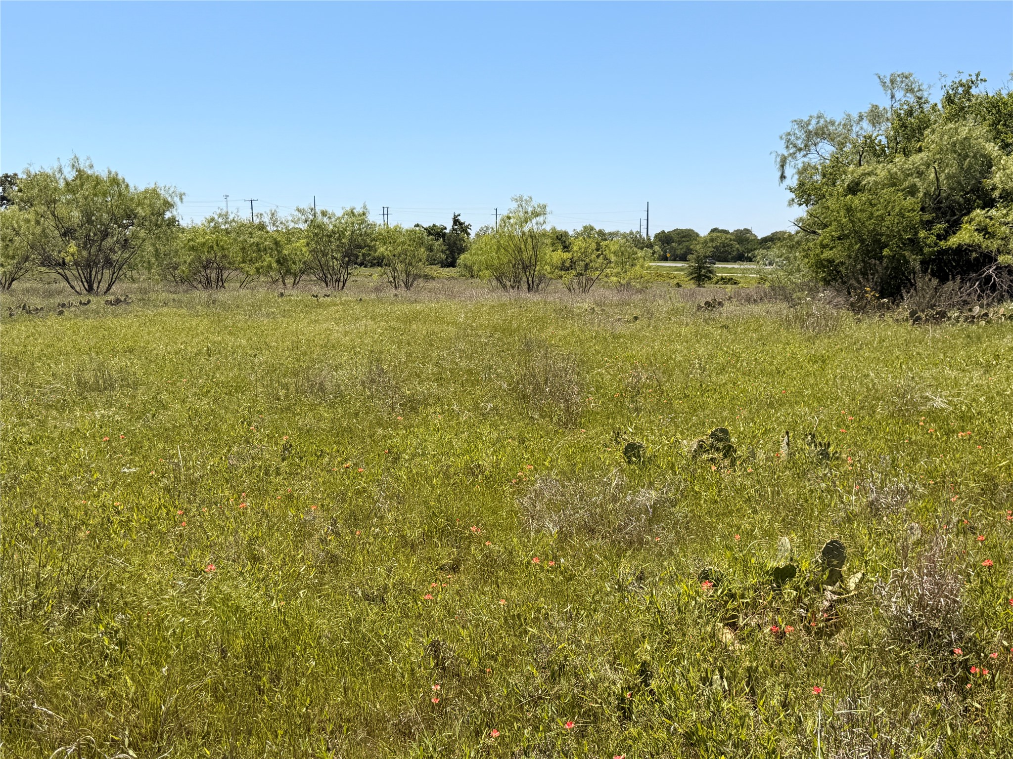 Tbd S I-20 Access Road Eastland TX 76448