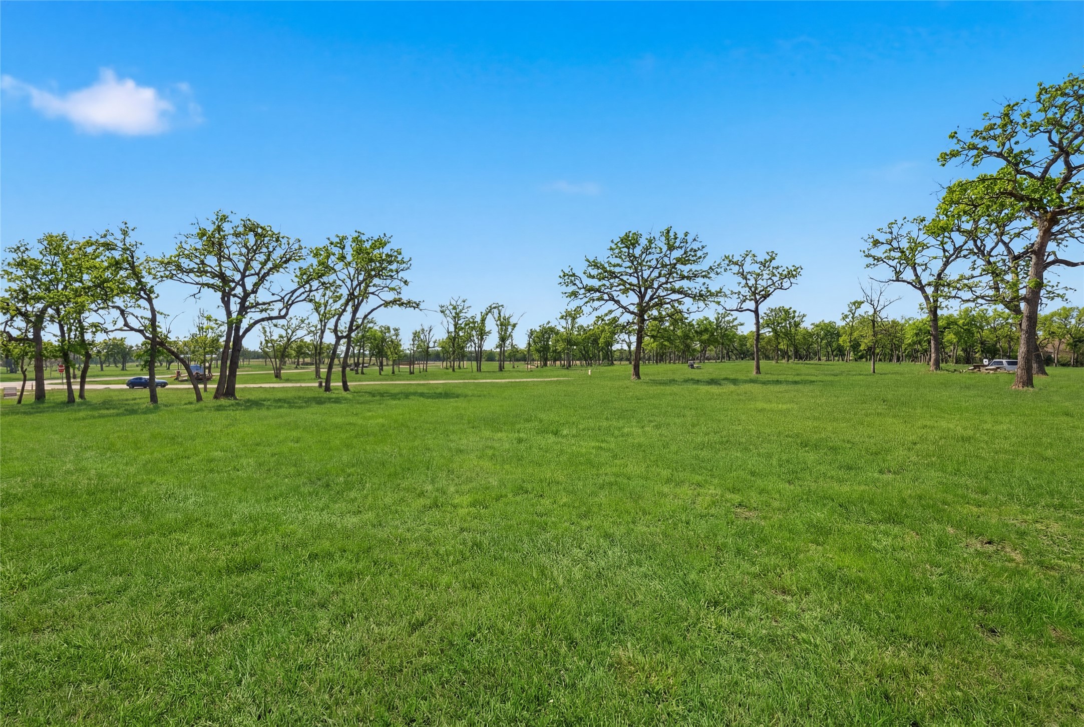 204 Kate Court Copper Canyon TX 76226