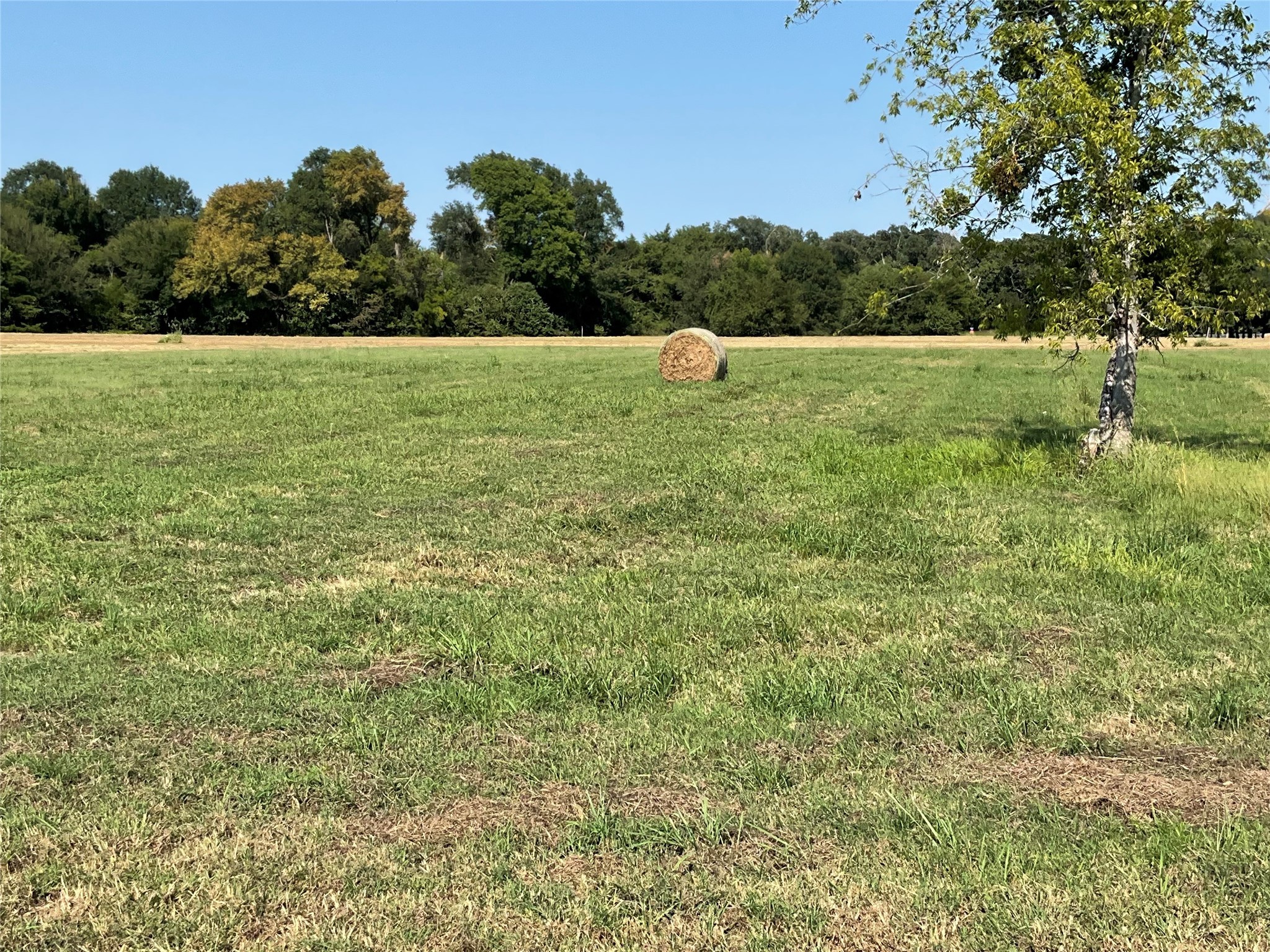 Lot 58 Grandview Drive Corsicana TX 75109