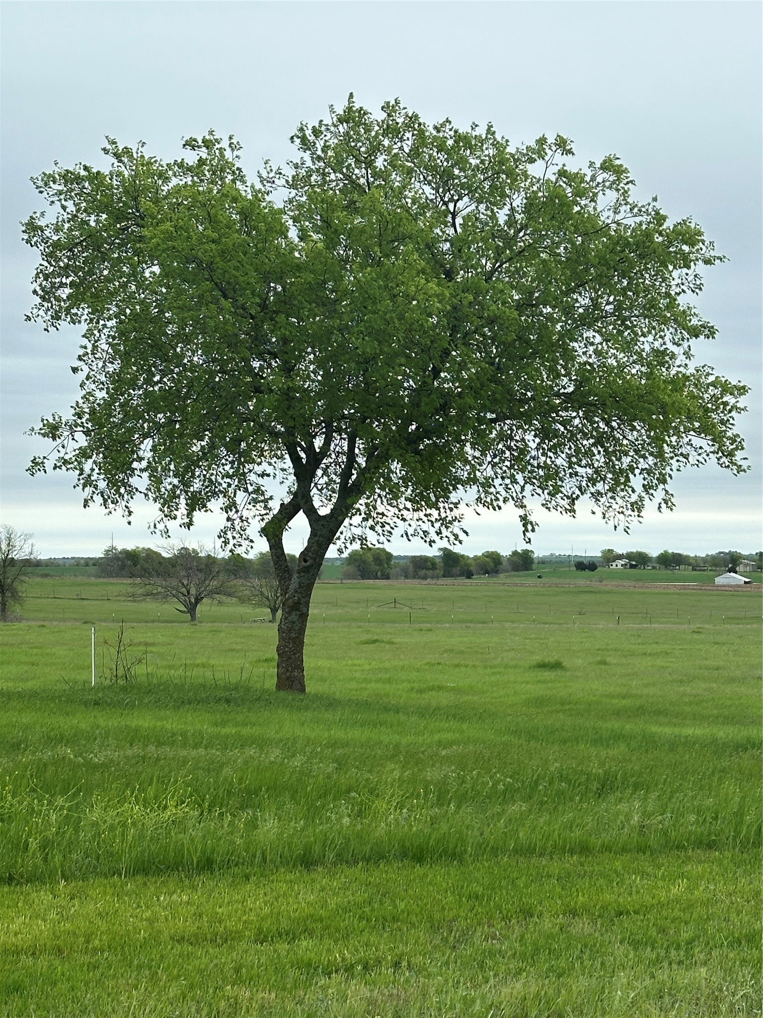 Tbd -6 Fm 1198 Muenster TX 76252