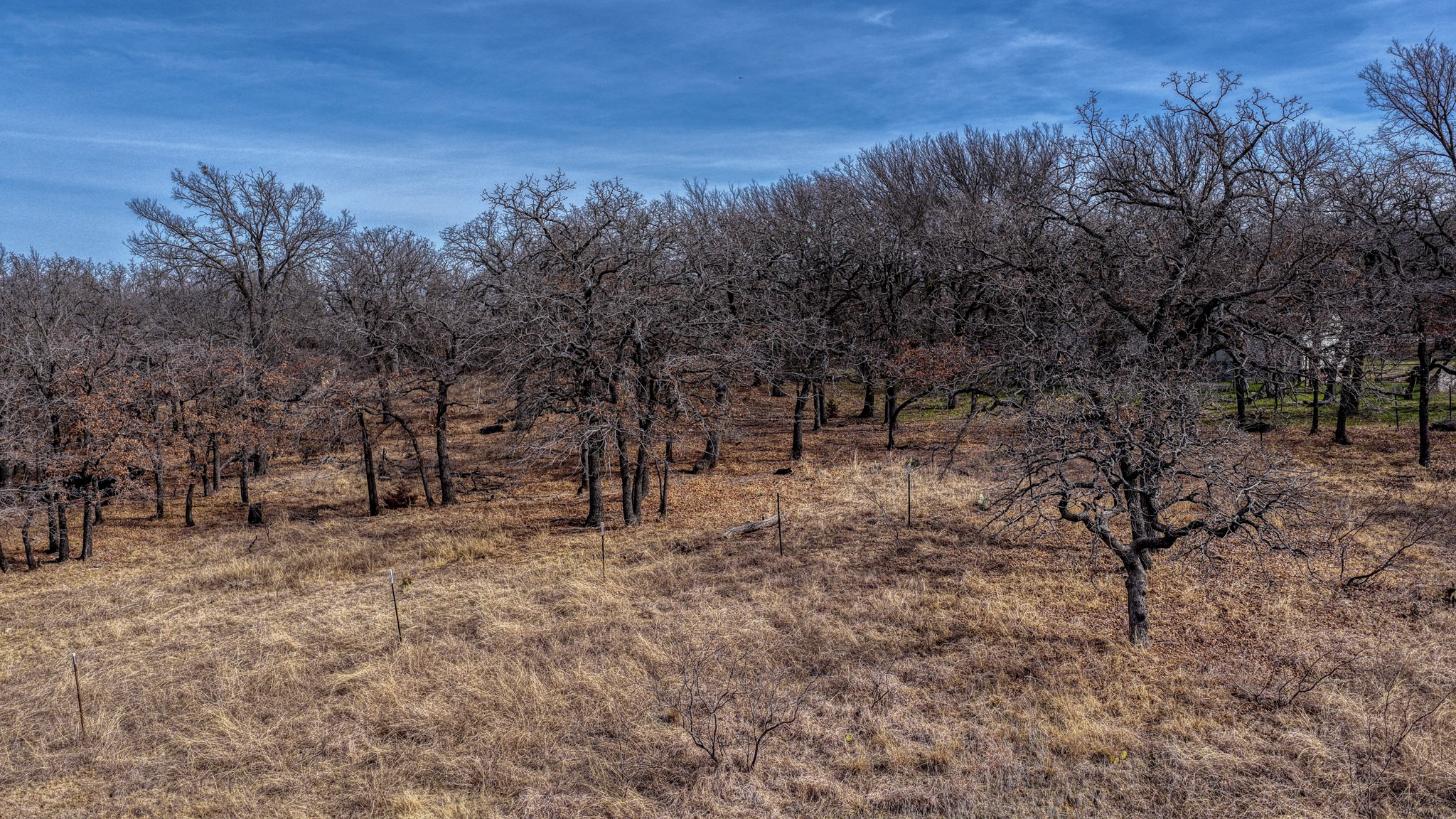297 County Road 1643 Chico TX 76431