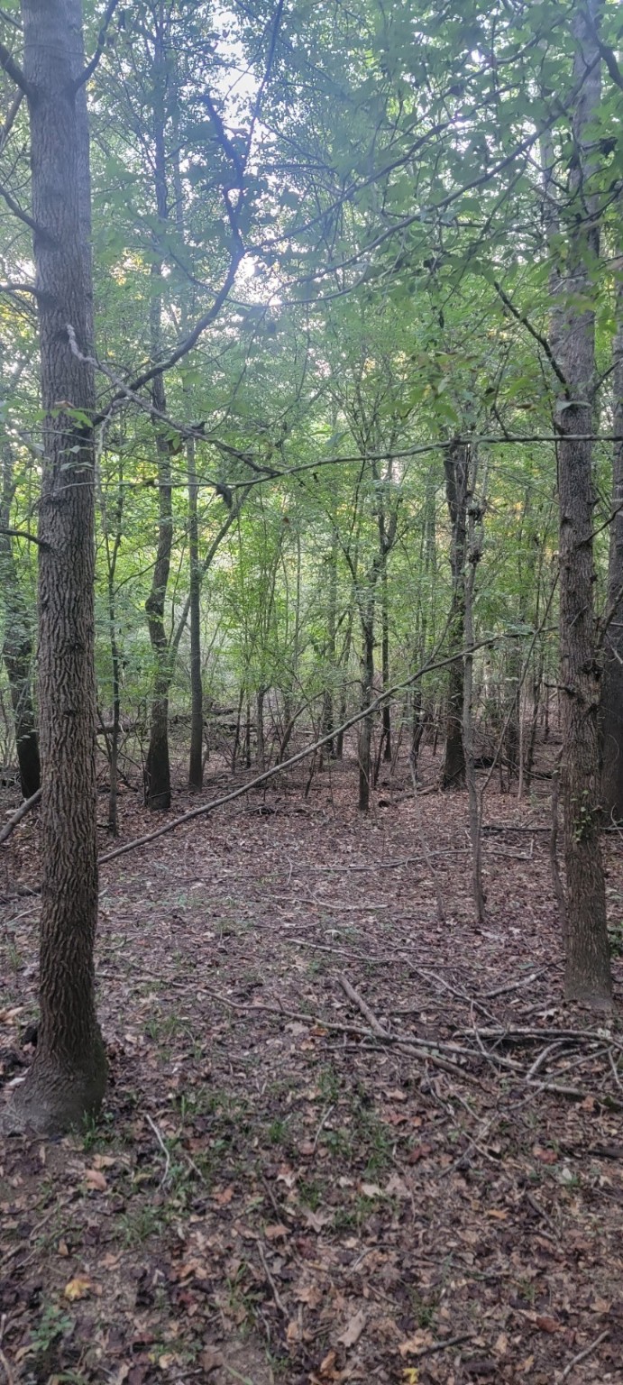 TBD-1 Fm 2517 Carthage TX 75633
