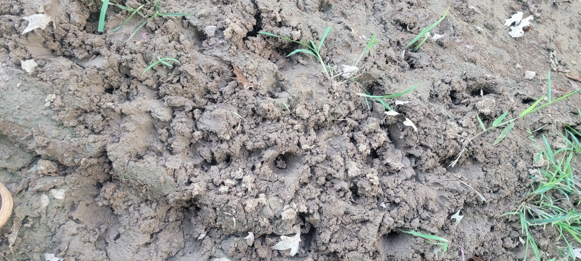 TBD-1 Fm 2517 Carthage TX 75633