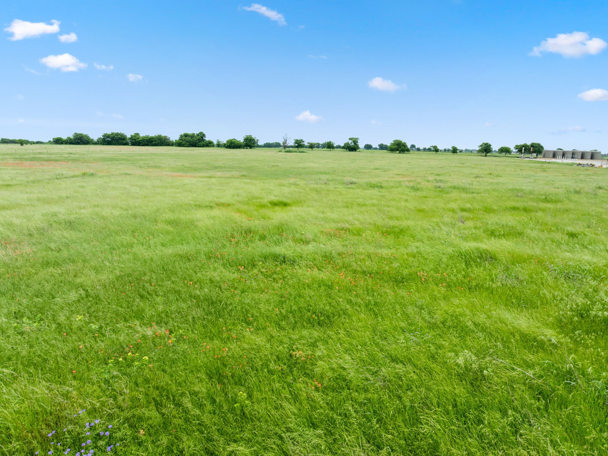 2752 Branch Road Krum TX 76249