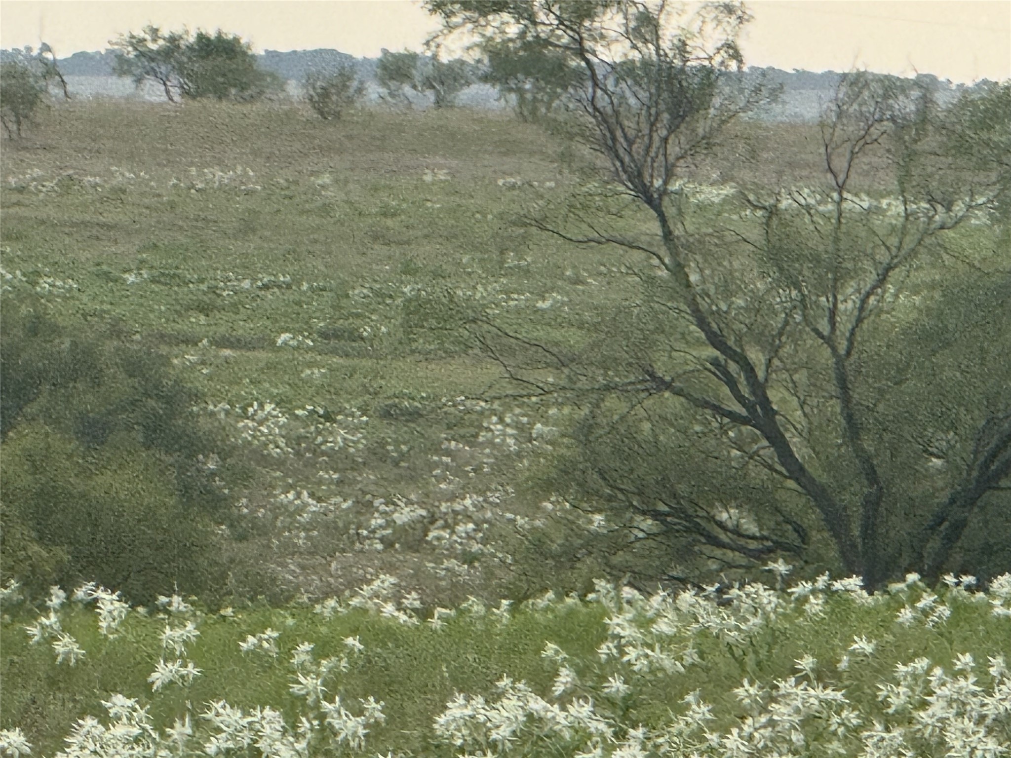 313 Private Road 4512 Decatur TX 76234