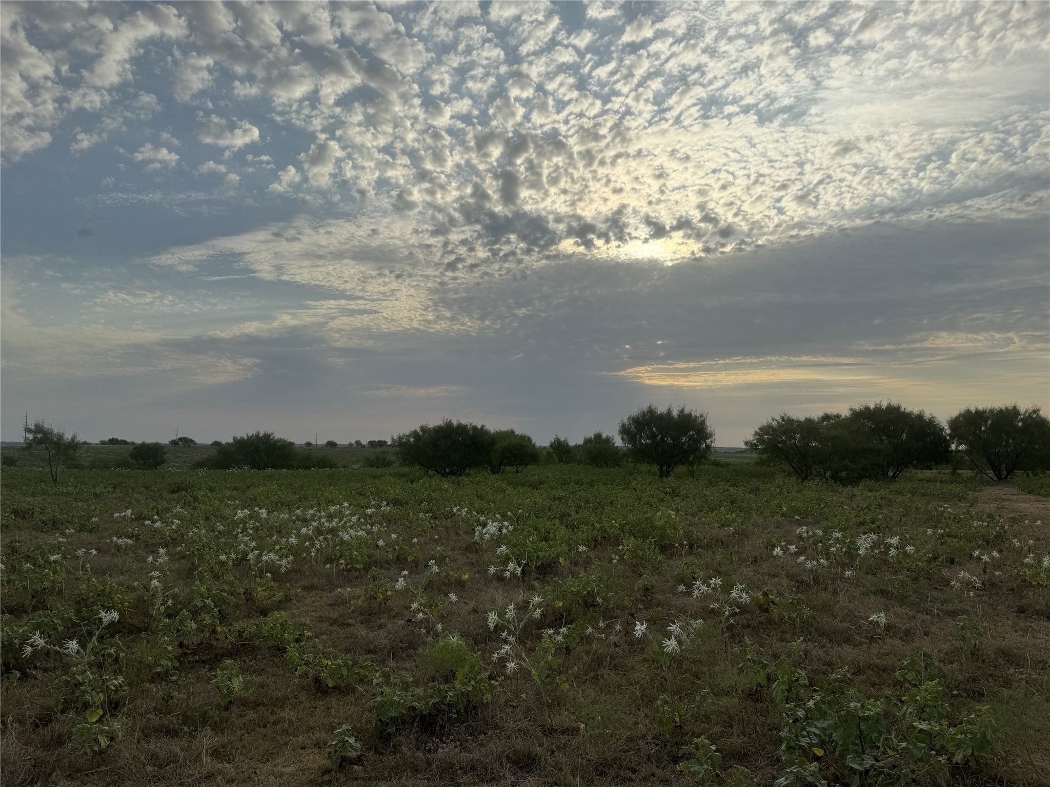 313 Private Road 4512 Decatur TX 76234