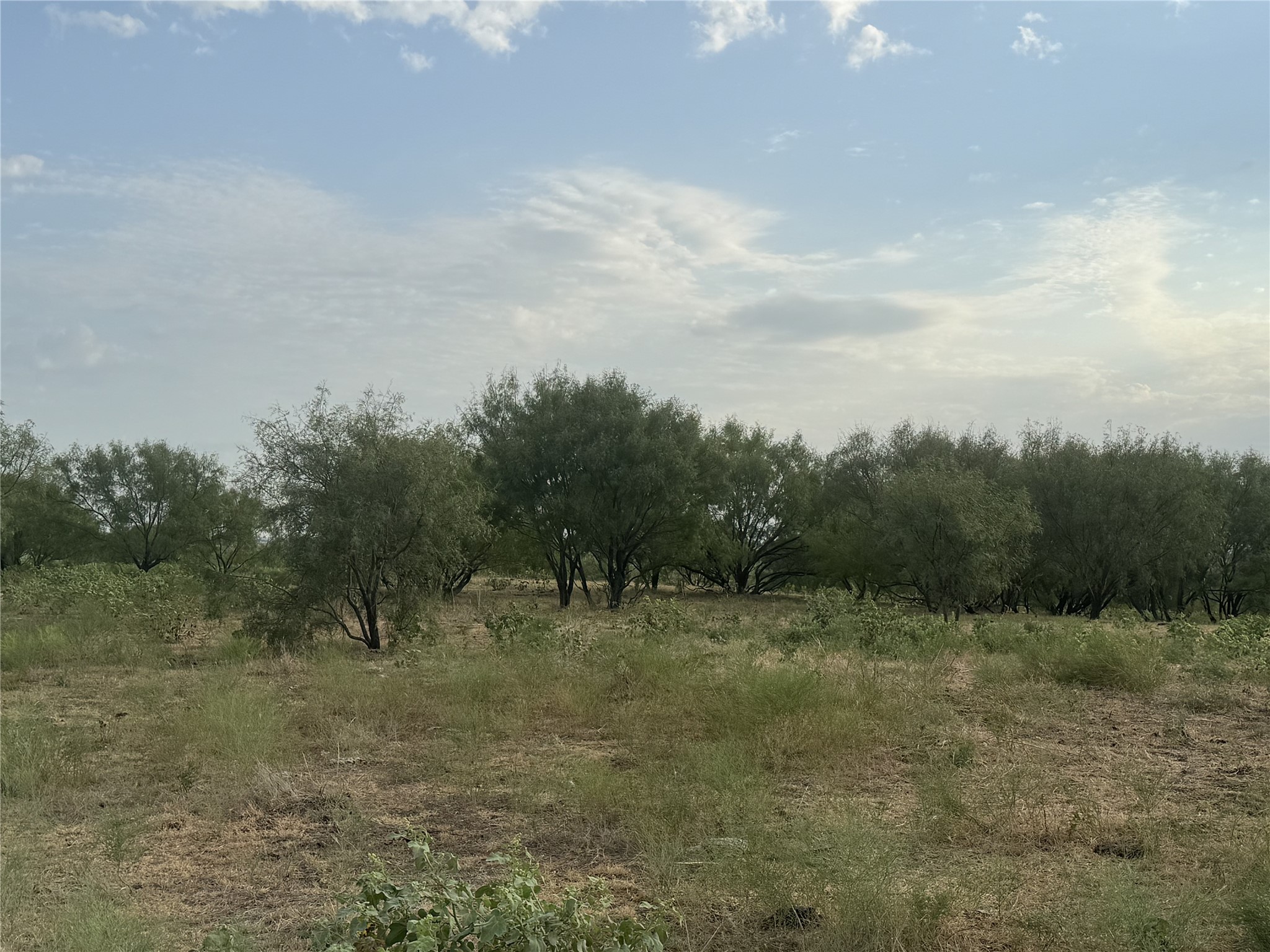 313 Private Road 4512 Decatur TX 76234