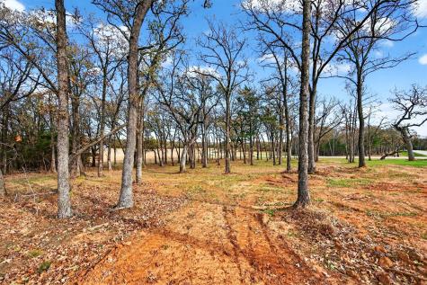 Lot 36 White Tail Way Pottsboro TX 75076