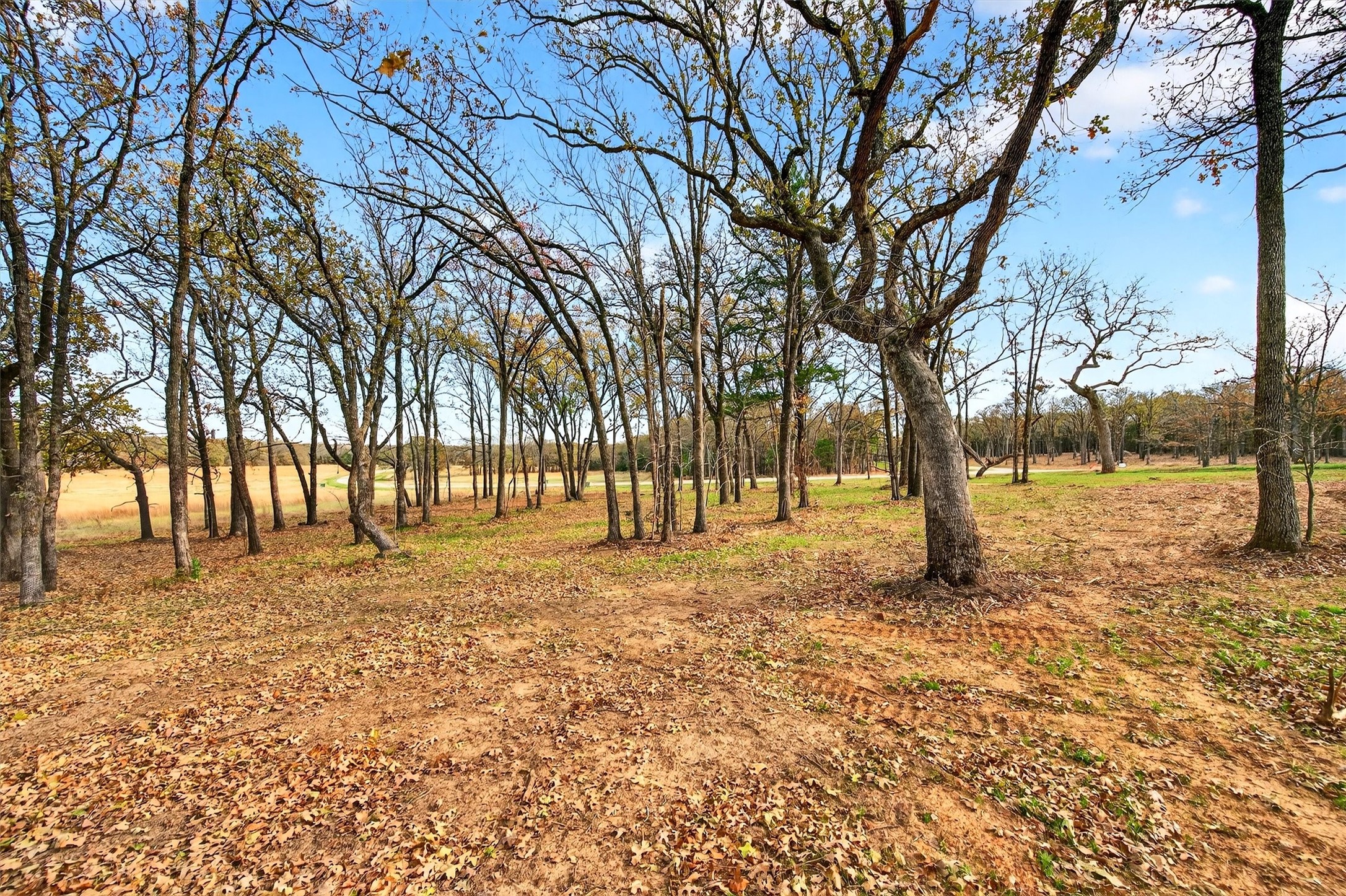 Lot 36 White Tail Way Pottsboro TX 75076