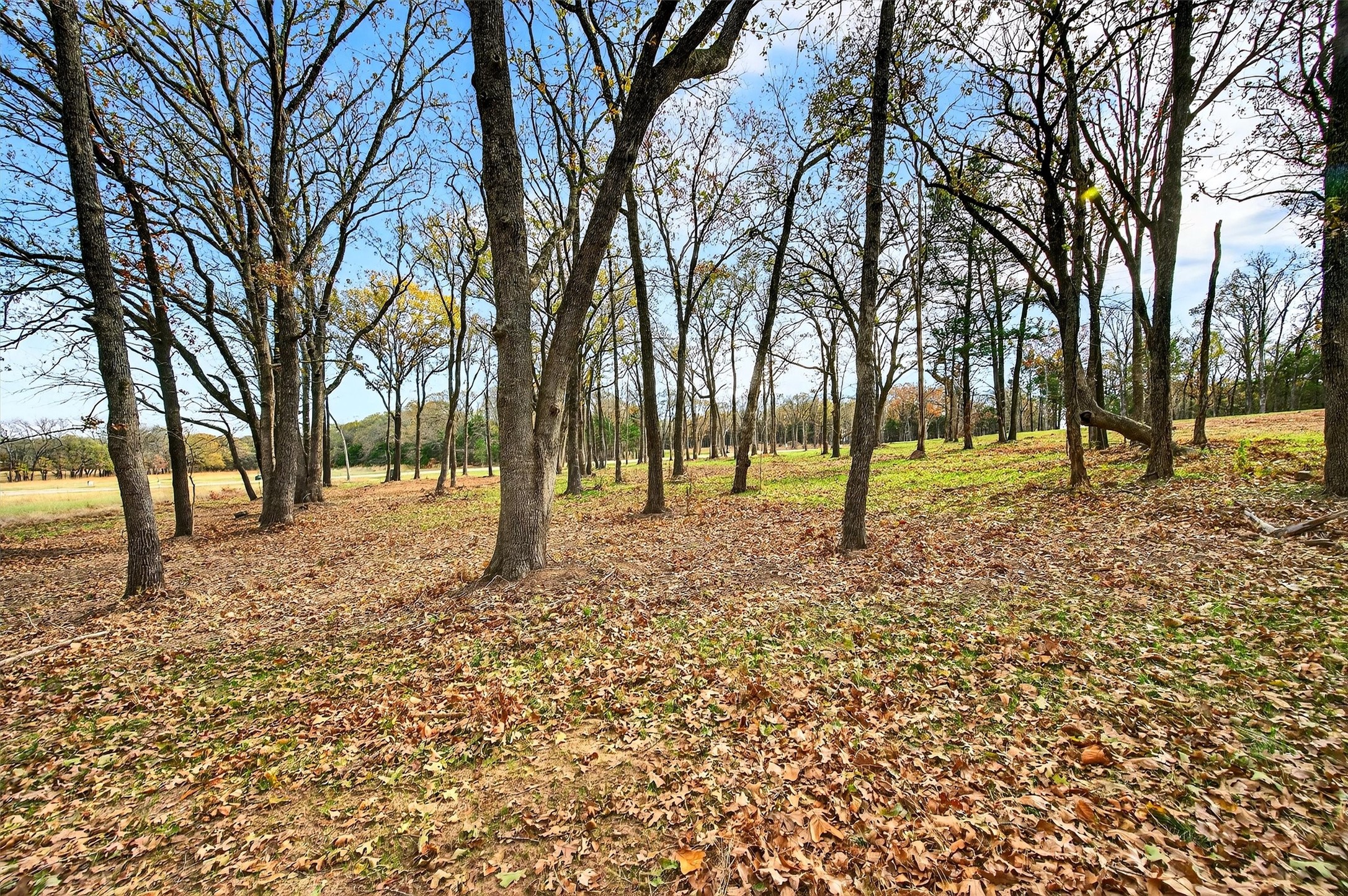 Lot 36 White Tail Way Pottsboro TX 75076