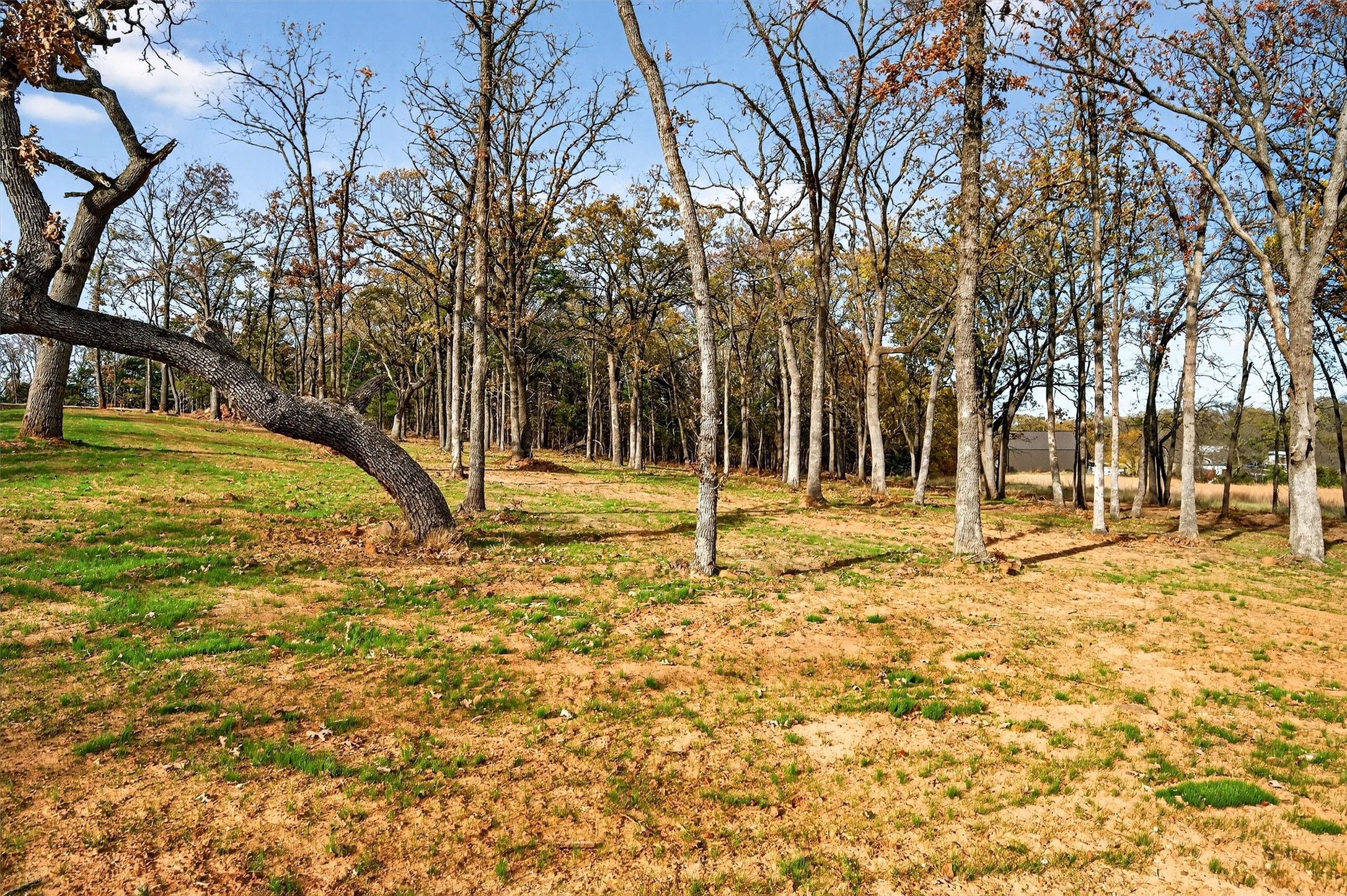 Lot 36 White Tail Way Pottsboro TX 75076