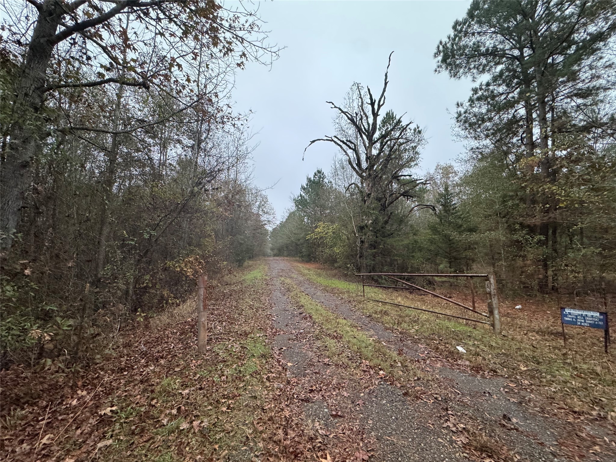 6229 County Road 21 Tyler TX 75707