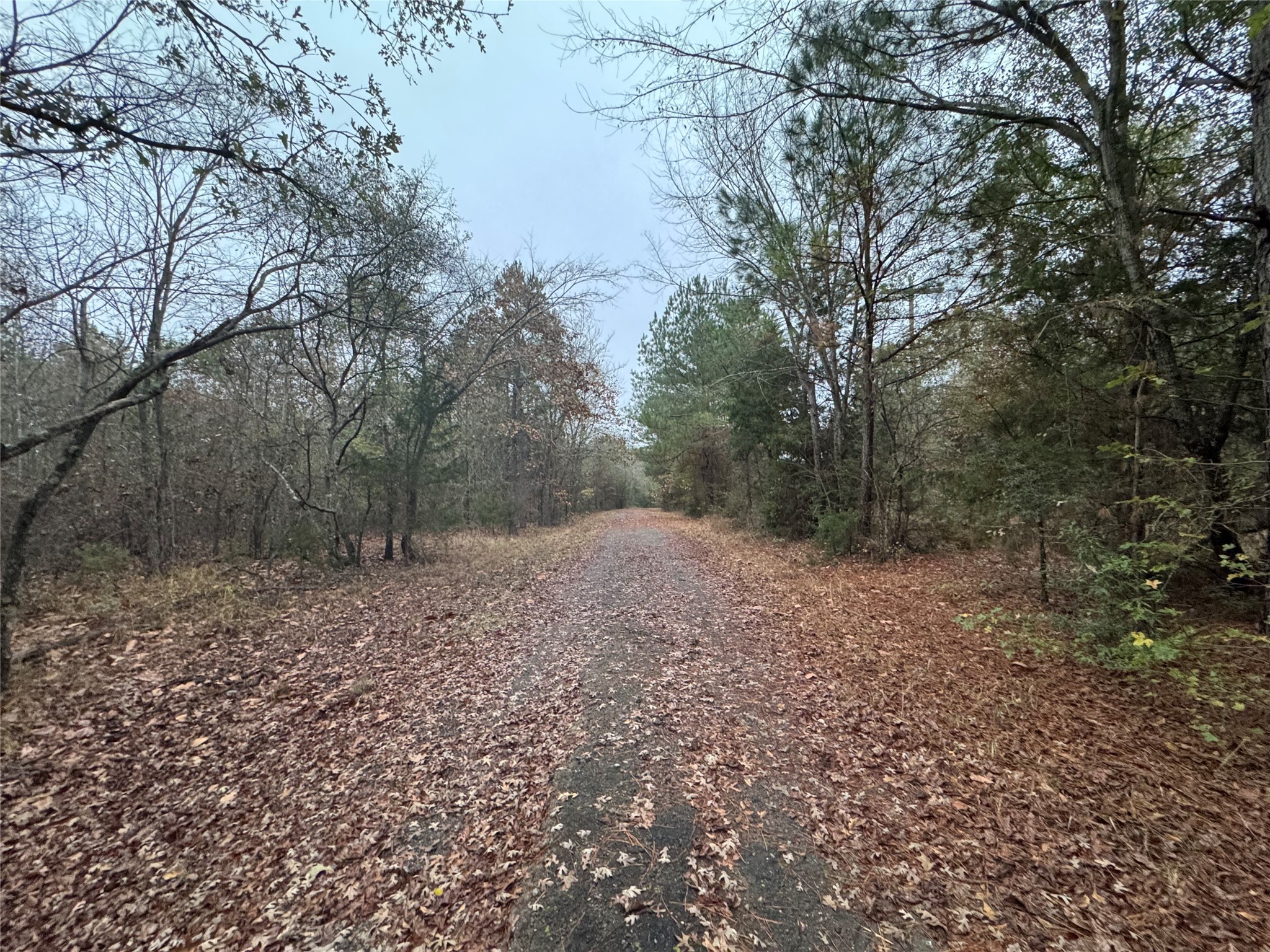 6229 County Road 21 Tyler TX 75707