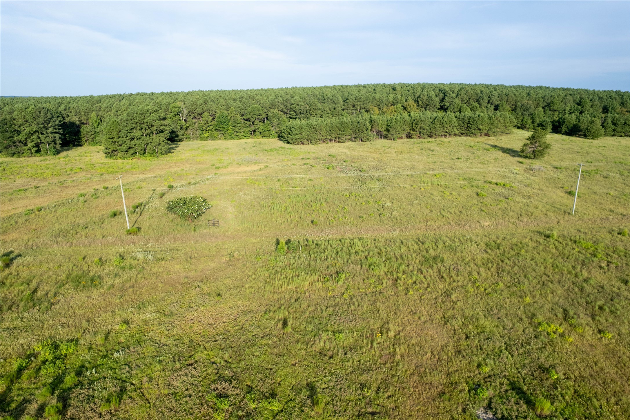 Lake Country (Lot 16) Tx-77 Atlanta TX 75551